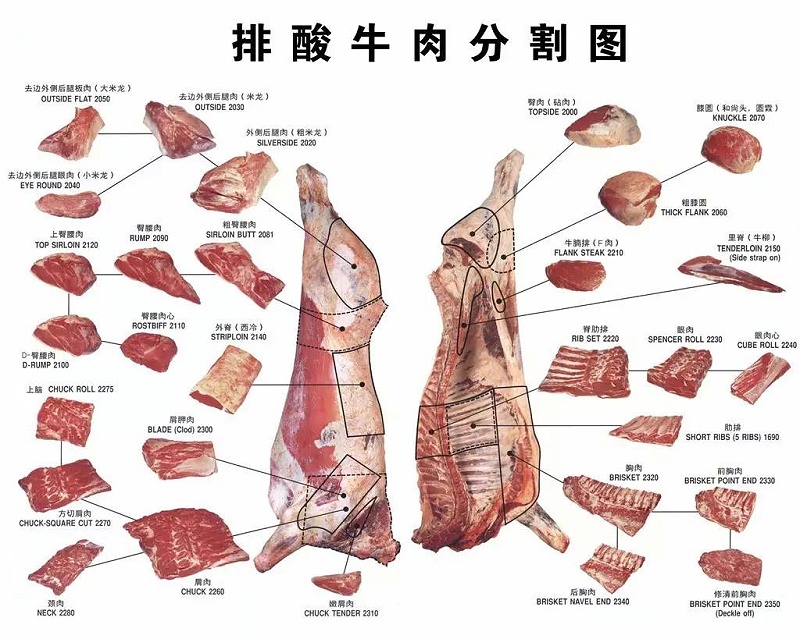 排酸牛肉分割圖