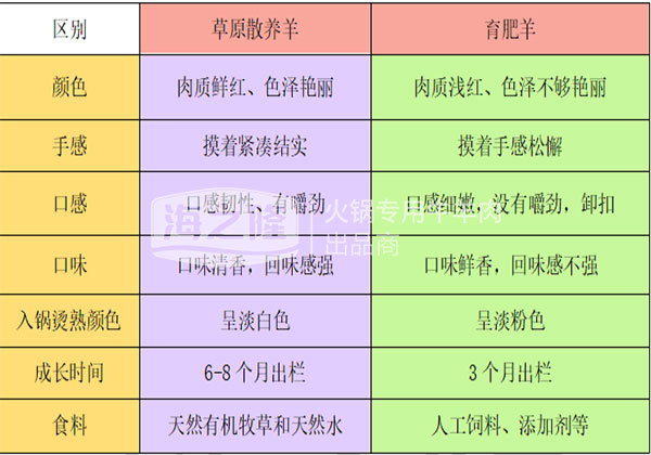 海之隆草原羊育肥羊區(qū)別